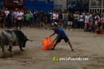 toros miseric?rdia 2023 Domingo