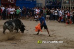 toros miseric?rdia 2023 Domingo