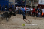 toros miseric?rdia 2023 Domingo