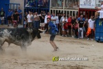 toros miseric?rdia 2023 Domingo