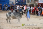 toros miseric?rdia 2023 Domingo