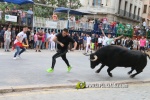 toros miseric?rdia 2023 Domingo