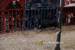 toros miseric?rdia 2023 Domingo