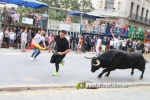 toros miseric?rdia 2023 Domingo