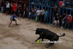 toros miseric?rdia 2023 Domingo