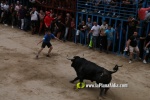 toros miseric?rdia 2023 Domingo