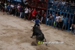 toros miseric?rdia 2023 Domingo