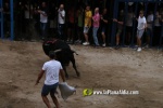 toros miseric?rdia 2023 Domingo