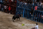 toros miseric?rdia 2023 Domingo