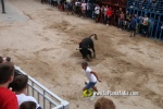 toros miseric?rdia 2023 Domingo