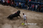 toros miseric?rdia 2023 Domingo