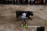 toros miseric?rdia 2023 Domingo