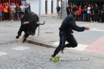 toros miseric?rdia 2023 Domingo