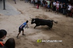 toros miseric?rdia 2023 Domingo