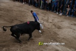 toros miseric?rdia 2023 Domingo