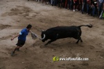 toros miseric?rdia 2023 Domingo