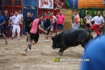 toros miseric?rdia 2023 Domingo