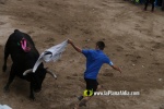 toros miseric?rdia 2023 Domingo