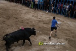 toros miseric?rdia 2023 Domingo