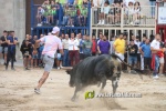 toros miseric?rdia 2023 Domingo