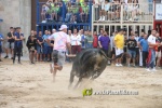 toros miseric?rdia 2023 Domingo
