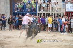 toros miseric?rdia 2023 Domingo