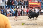 toros miseric?rdia 2023 Domingo