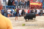toros miseric?rdia 2023 Domingo