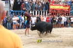toros miseric?rdia 2023 Domingo