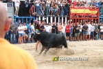 toros miseric?rdia 2023 Domingo