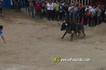 toros miseric?rdia 2023 Domingo
