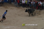 toros miseric?rdia 2023 Domingo