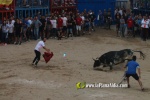 toros miseric?rdia 2023 Domingo