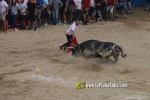 toros miseric?rdia 2023 Domingo