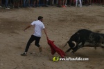 toros miseric?rdia 2023 Domingo