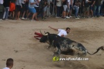toros miseric?rdia 2023 Domingo