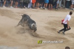 toros miseric?rdia 2023 Domingo