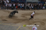 toros miseric?rdia 2023 Domingo
