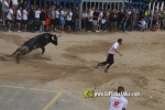 toros miseric?rdia 2023 Domingo