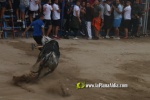 toros miseric?rdia 2023 Domingo
