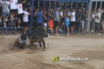 toros miseric?rdia 2023 Domingo