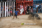 toros miseric?rdia 2023 Domingo