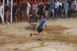 toros miseric?rdia 2023 Domingo
