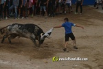toros miseric?rdia 2023 Domingo