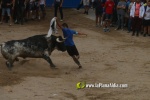 toros miseric?rdia 2023 Domingo