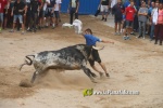 toros miseric?rdia 2023 Domingo