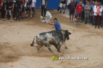 toros miseric?rdia 2023 Domingo