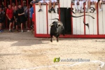 Un Monteviejo, el millor espantat de la Miseric?rdia