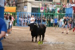Un Monteviejo, el millor espantat de la Miseric?rdia