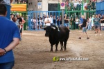 Un Monteviejo, el millor espantat de la Miseric?rdia